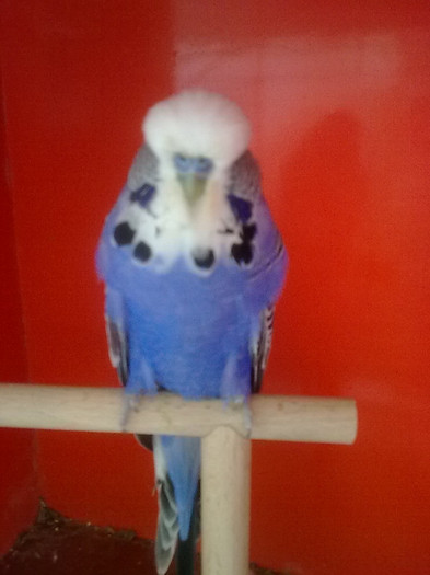Picture 075 - aprilie 2012
