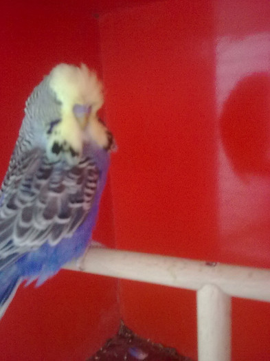 Picture 076 - aprilie 2012