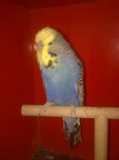 Picture 078 - aprilie 2012