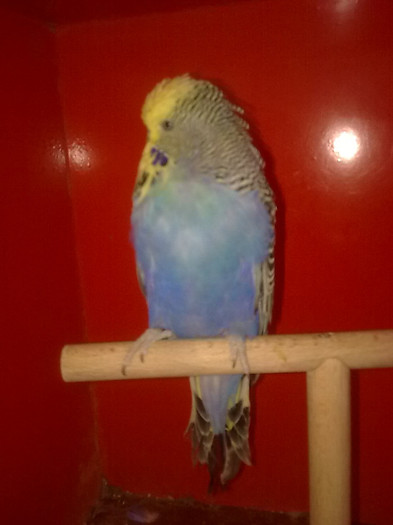 Picture 079 - aprilie 2012