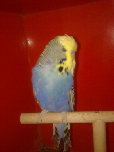 Picture 080 - aprilie 2012