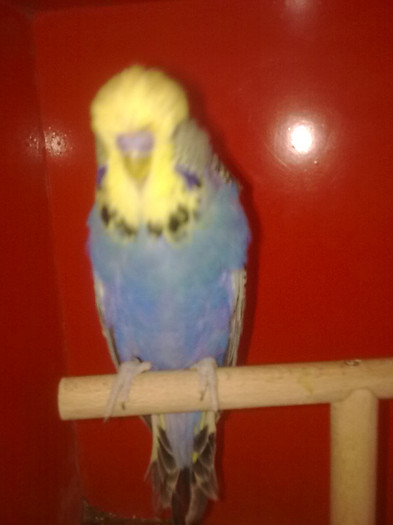 Picture 081 - aprilie 2012