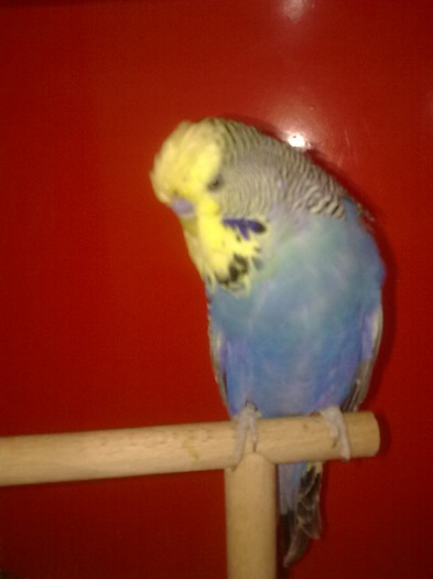 Picture 082 - aprilie 2012