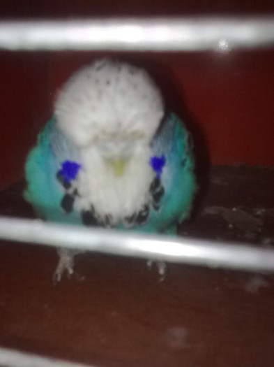 Picture 083 - aprilie 2012