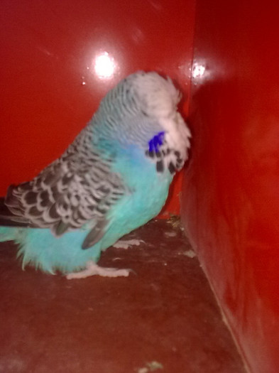 Picture 084 - aprilie 2012