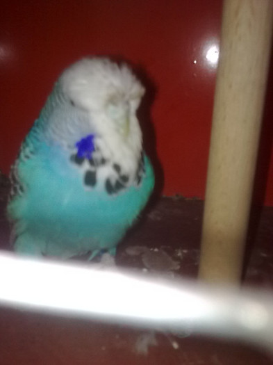 Picture 086 - aprilie 2012