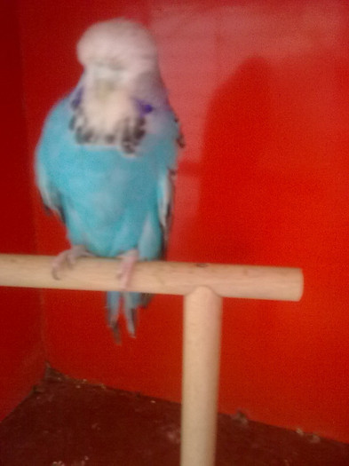 Picture 087 - aprilie 2012