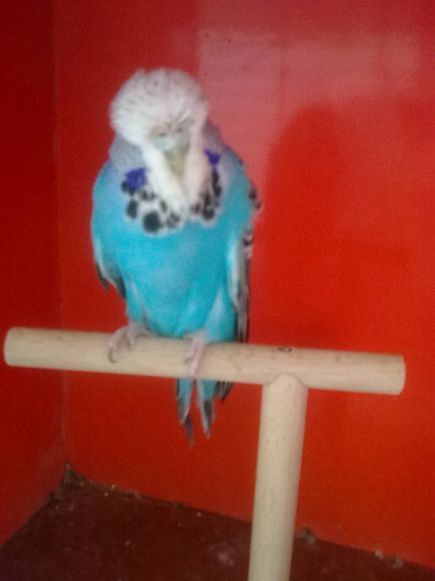 Picture 088 - aprilie 2012