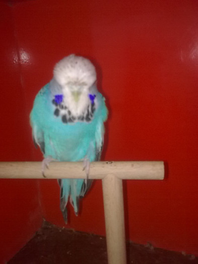 Picture 091 - aprilie 2012