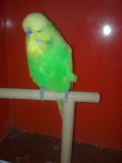 Picture 093 - aprilie 2012