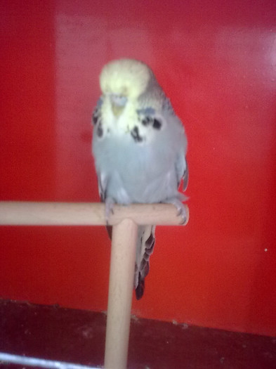 Picture 096 - aprilie 2012