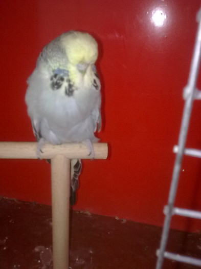 Picture 098 - aprilie 2012