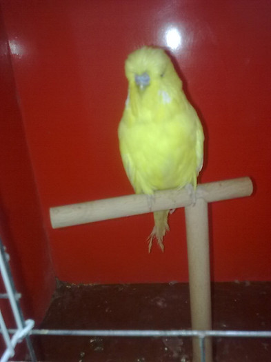 Picture 105 - aprilie 2012