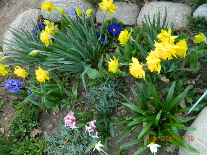 026 - 4_APRILIE