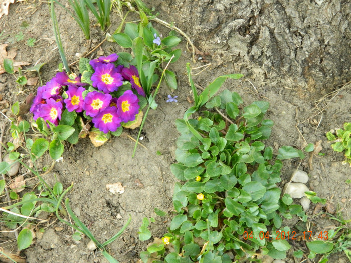 034 - 4_APRILIE