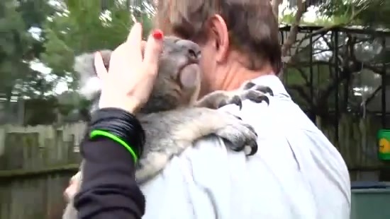 Avril Lavigne- At The Zoo (2011) 116