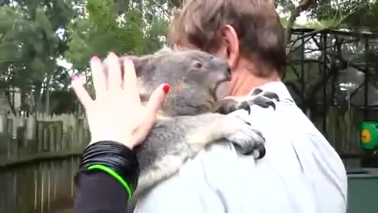 Avril Lavigne- At The Zoo (2011) 117