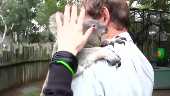 Avril Lavigne- At The Zoo (2011) 118