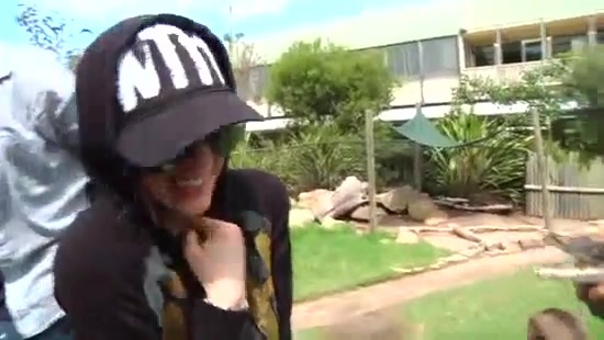 Avril Lavigne- At The Zoo (2011) 186 - Avril - Lavigne - At - ZOO - Video - Captures