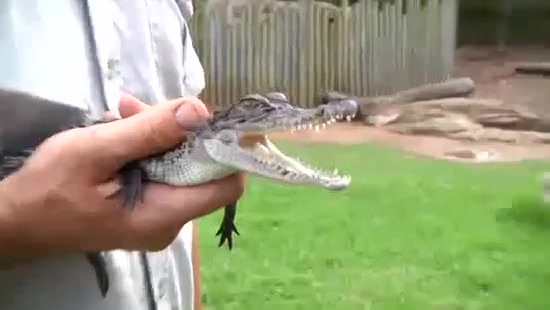 Avril Lavigne- At The Zoo (2011) 188