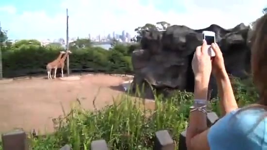 Avril Lavigne- At The Zoo (2011) 287