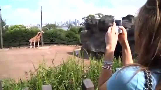 Avril Lavigne- At The Zoo (2011) 290