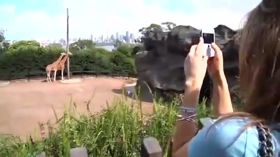 Avril Lavigne- At The Zoo (2011) 291