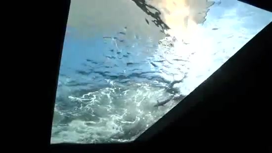 Avril Lavigne- At The Zoo (2011) 301