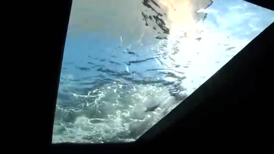 Avril Lavigne- At The Zoo (2011) 302