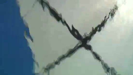 Avril Lavigne- At The Zoo (2011) 303