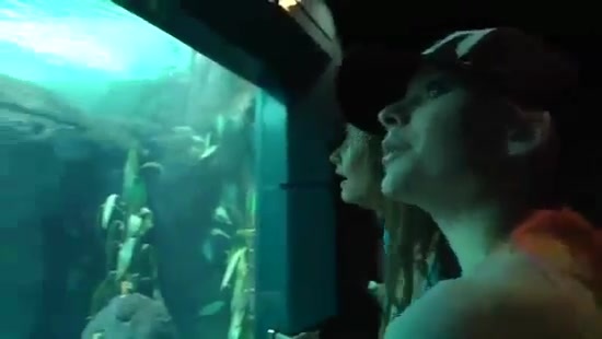 Avril Lavigne- At The Zoo (2011) 313