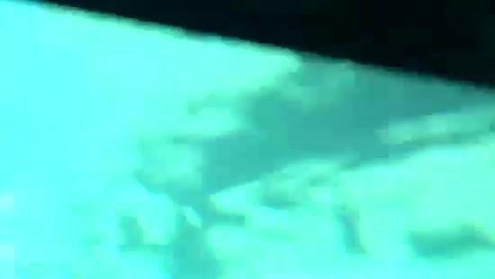 Avril Lavigne- At The Zoo (2011) 321