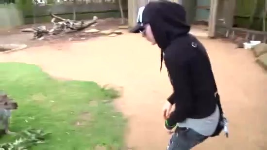 Avril Lavigne- At The Zoo (2011) 322