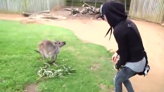 Avril Lavigne- At The Zoo (2011) 325