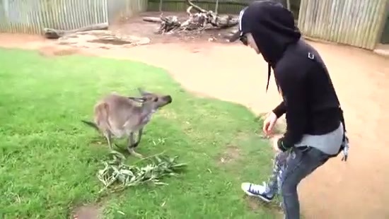 Avril Lavigne- At The Zoo (2011) 326