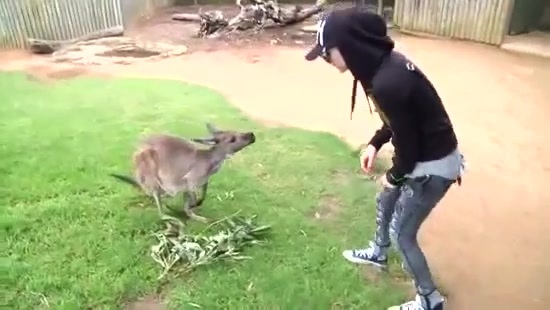 Avril Lavigne- At The Zoo (2011) 327