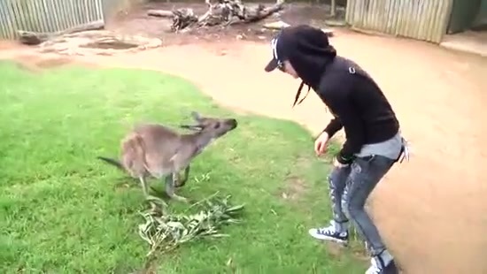 Avril Lavigne- At The Zoo (2011) 328