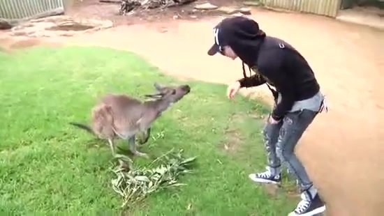 Avril Lavigne- At The Zoo (2011) 329