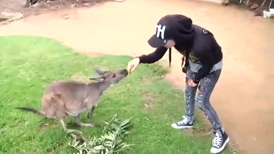 Avril Lavigne- At The Zoo (2011) 333