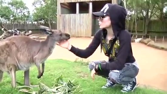 Avril Lavigne- At The Zoo (2011) 336