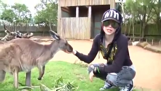 Avril Lavigne- At The Zoo (2011) 340