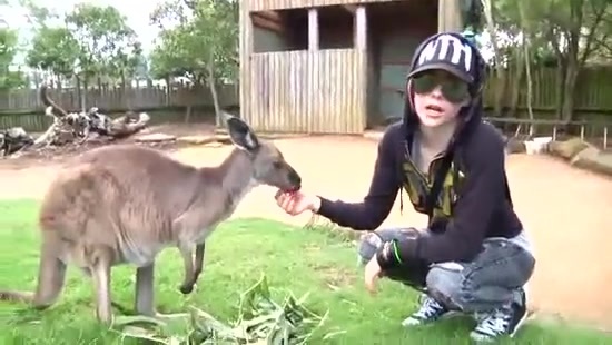 Avril Lavigne- At The Zoo (2011) 342
