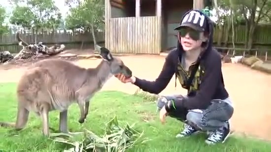 Avril Lavigne- At The Zoo (2011) 343 - Avril - Lavigne - At - ZOO - Video - Captures