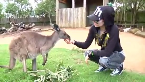 Avril Lavigne- At The Zoo (2011) 344 - Avril - Lavigne - At - ZOO - Video - Captures
