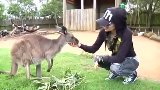 Avril Lavigne- At The Zoo (2011) 346 - Avril - Lavigne - At - ZOO - Video - Captures