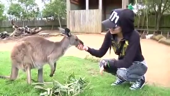 Avril Lavigne- At The Zoo (2011) 347