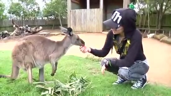 Avril Lavigne- At The Zoo (2011) 348