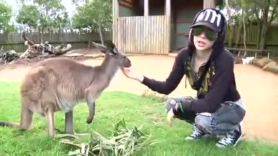 Avril Lavigne- At The Zoo (2011) 352