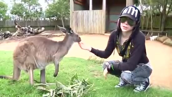 Avril Lavigne- At The Zoo (2011) 353 - Avril - Lavigne - At - ZOO - Video - Captures