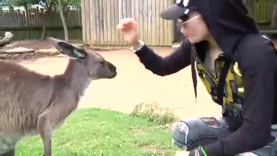 Avril Lavigne- At The Zoo (2011) 356